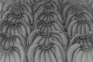 Banana hands in black and white.