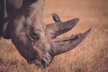 Rhinoceros with bird in natural environment by Designer