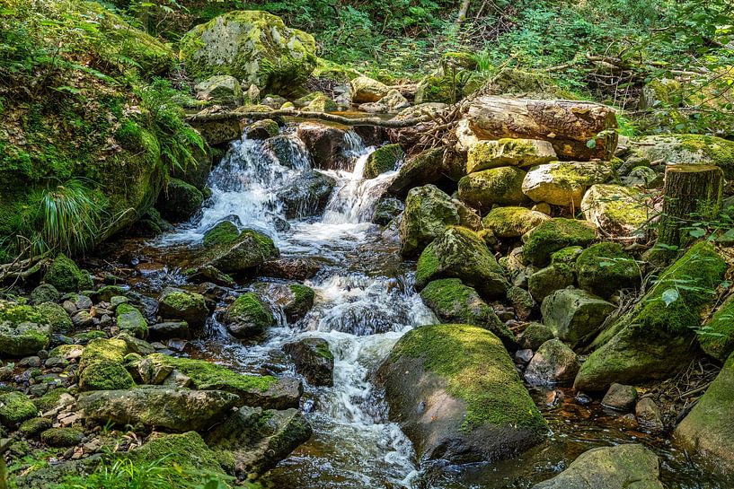 Vue des chutes d'eau de la rivière Ilse dans les montagnes du Harz. par Andreas Völkel