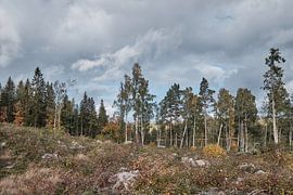 schwedenherfst003 von Geertjan Plooijer