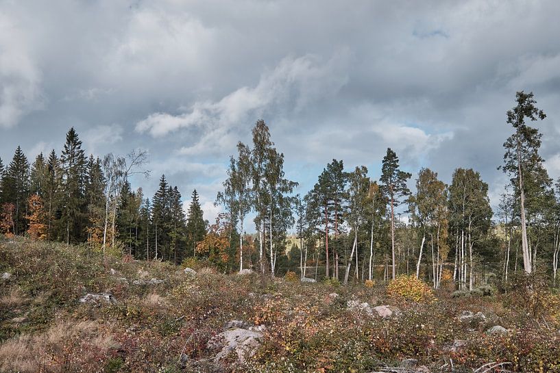 zwedenherfst003 van Geertjan Plooijer