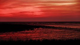 Het rode wad II van Brenda van der Zee
