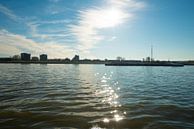 Havens van Rotterdam van Brian Morgan thumbnail