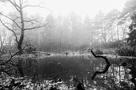 Waldschwimmbad im Nebel (schwarz und weiß) von Fotografie Jeronimo Miniaturansicht