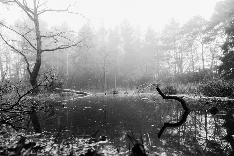 Waldschwimmbad im Nebel (schwarz und weiß) von Fotografie Jeronimo