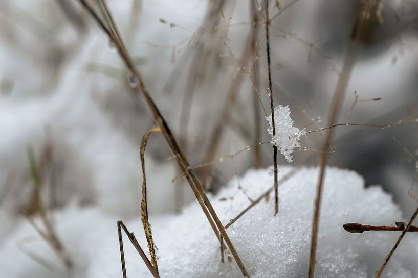 Détail de la neige par Hans Hebbink