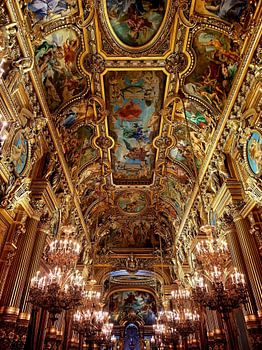 Golden Opulence