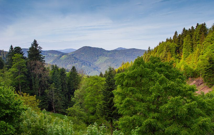 Panorama Zwarte Woud van Puravida - Fotografie en fotokunst