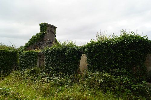 Ruïne in Kinvara