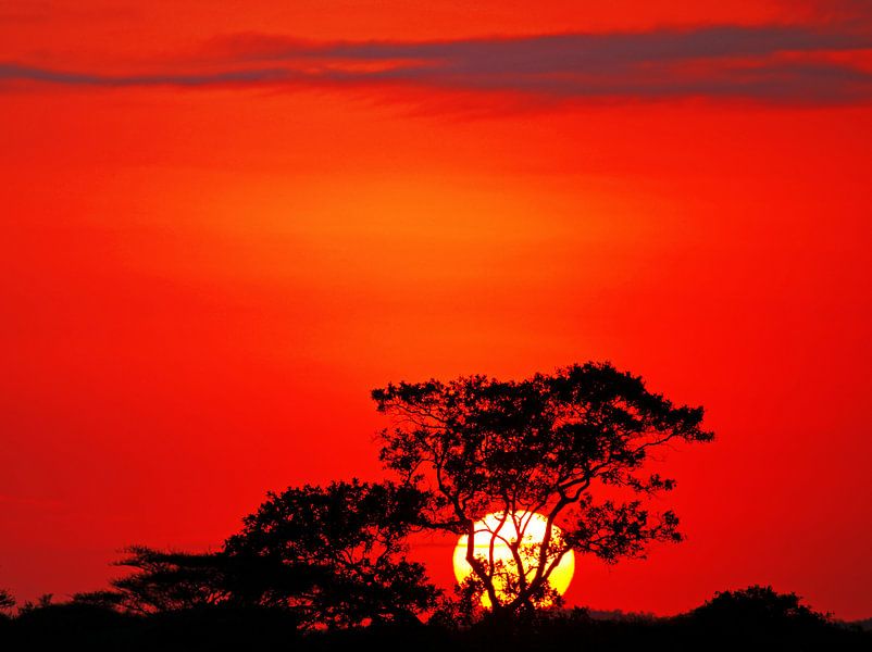 Sonnenaufgang in Afrika von W. Woyke