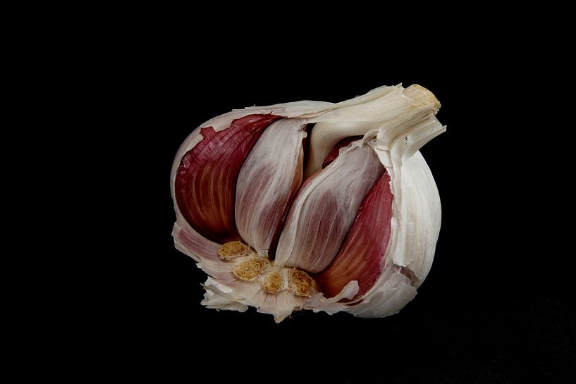 Knoflook von Kiezel Fotografie