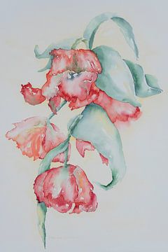 Rode tulpen van Monique Londema