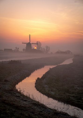Hollands landschap in de mist