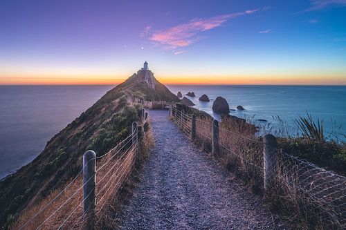 Nieuw-Zeeland Nugget Point bij zonsopgang
