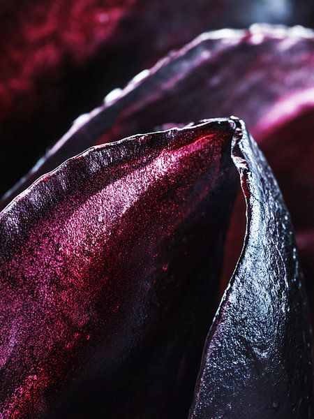 Abstract burgundy leaves by haroulita