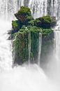 L'île flottante - Iguaçu, Argentine par Erwin Blekkenhorst Aperçu