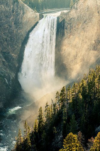 Lower Yellowstone Falls