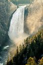 Lower Yellowstone Falls van Stefan Verheij thumbnail
