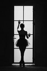 Ballerina van David Potter