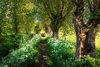 Une belle nature