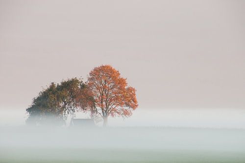 Morning Silence