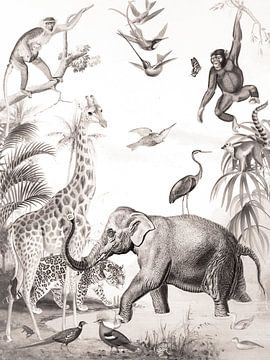 Wilde dieren poster kinderkamer vintage van Evavisser