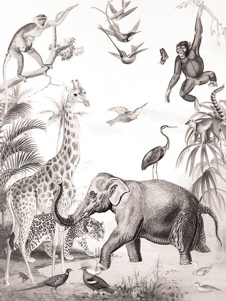 Poster animaux sauvages nursery vintage par Evavisser
