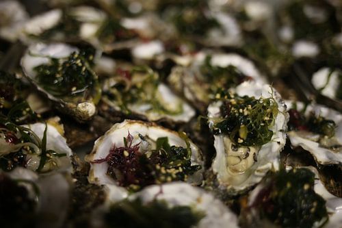 Oyster Wakame nr. 4