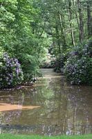 vijver aan kasteel Zellaer