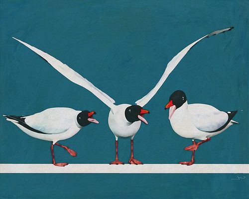 Zwarte Meeuw in zijn natuurlijke vorm