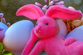 The utterly relaxed Easter Bunny by Photoart-Naegele