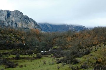 ‎⁨Picos Europa, ⁨León⁩, ⁨Spanje⁩ van Eugenio Eijck