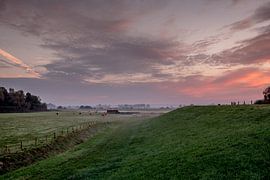 Dijk bij Maurik von Moetwil en van Dijk - Fotografie