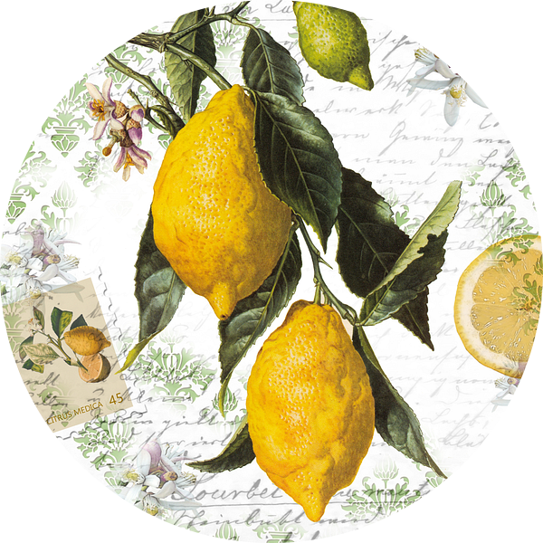 Citroentak van christine b-b müller