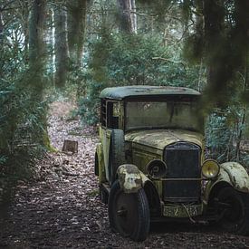 Forgotten old timer in forest by Sander Schraepen