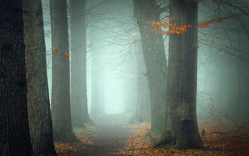 In a Sentimental Mood