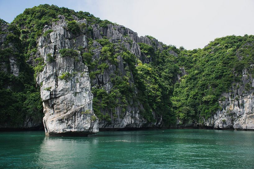 Milford Sound Neuseeland von Tom in 't Veld