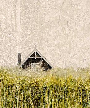 GARDEN HOUSE IN GROUND LEVEL