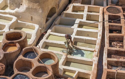 Tannery Sidi Moussa, Fez (Morocco)