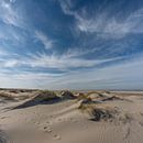 Vuurtoren Eierland Texel nieuwe duinen van Texel360Fotografie Richard Heerschap thumbnail