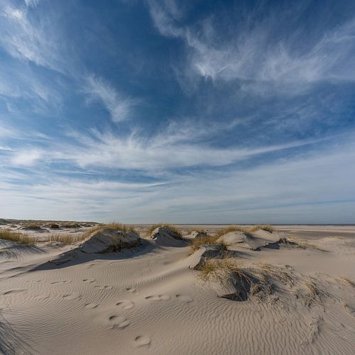 Vuurtoren Eierland Texel nieuwe duinen