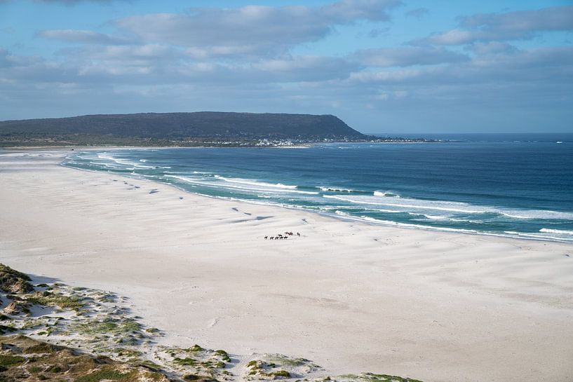 Noordhoek by Marion Meyer