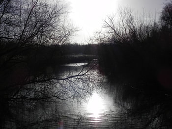 Winter zon weerspiegeling in het water.