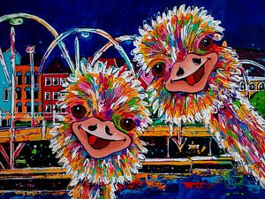 Struisvogels in Willemstad in de avond van Happy Paintings