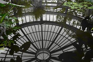  Reflection