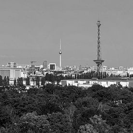 Panorama van de skyline van Berlijn van Frank Herrmann