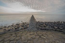 Côte de la mer des Wadden @Moddergat-Paesens (Frise)