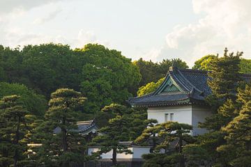 Tokio Keizerlijk Paleis en Nationale Tuin Kokyo (Japan) van Marcel Kerdijk