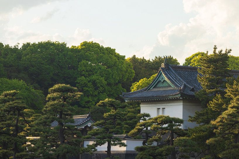 Tokyo Imperial Palace and National Garden Kokyo (Japan) by Marcel Kerdijk
