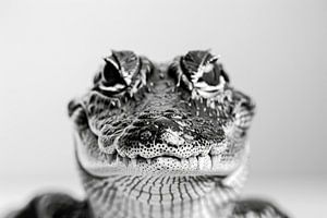 Krokodil